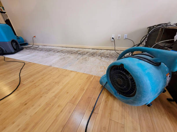 Professional Water Damage Repair technician working in Brilliant, OH